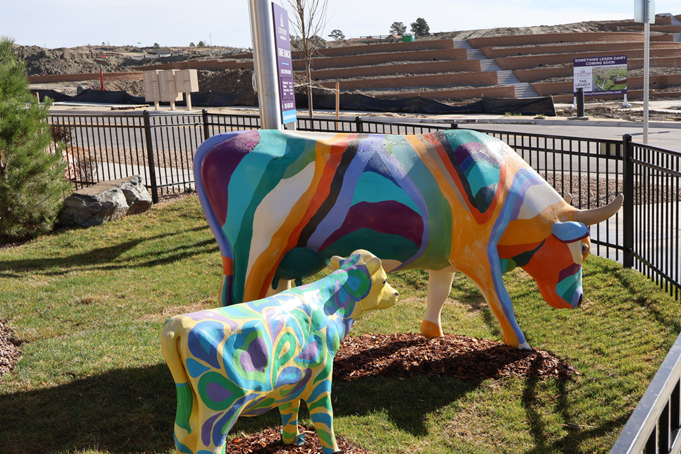 The Cows of Kime Ranch