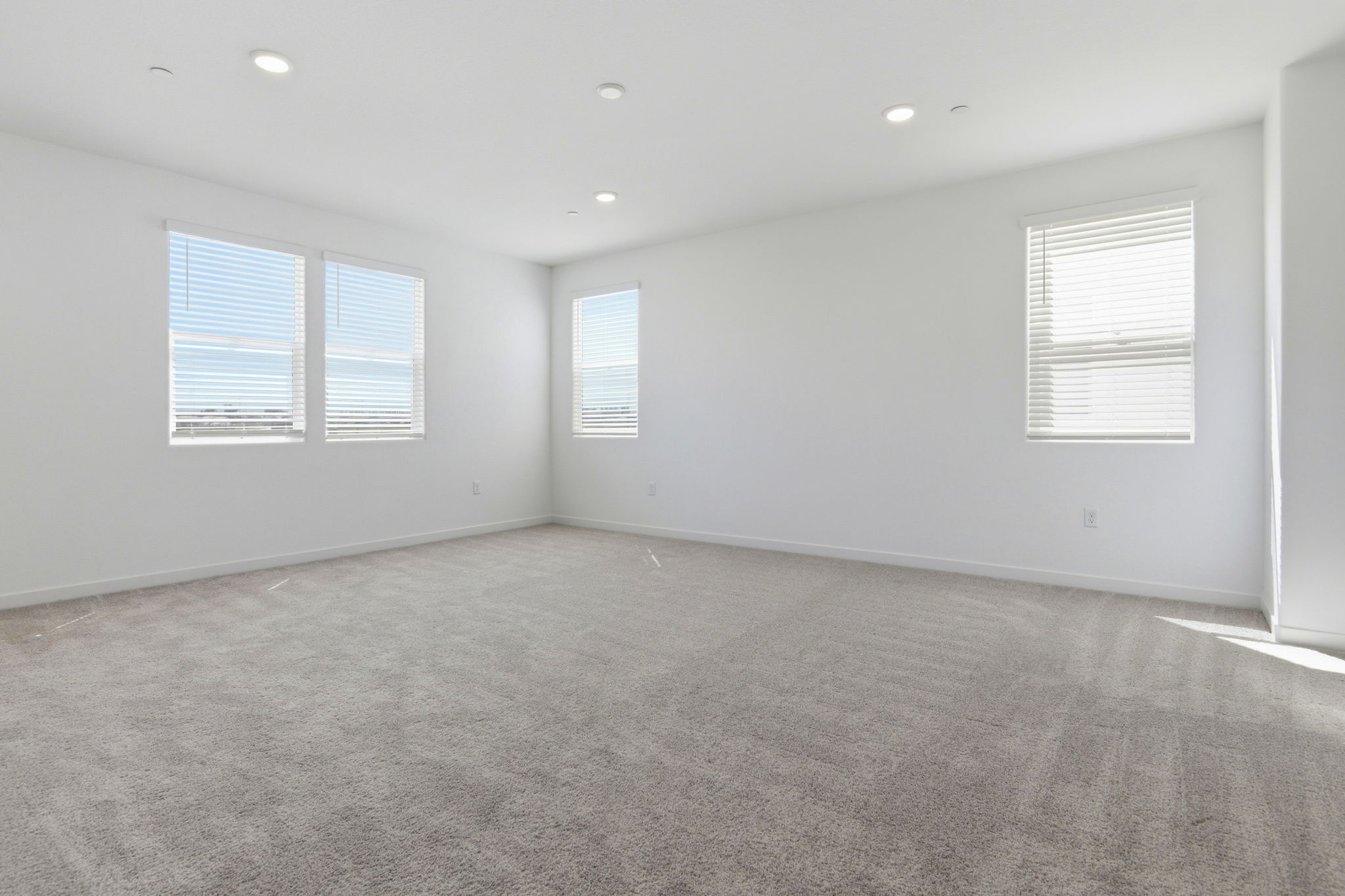 A room with a carpet and windows.