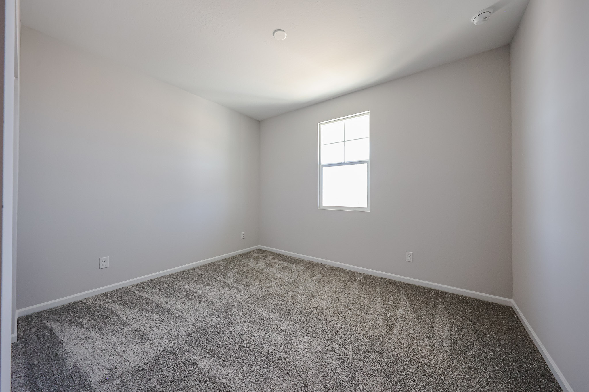 A room with a carpet and windows.