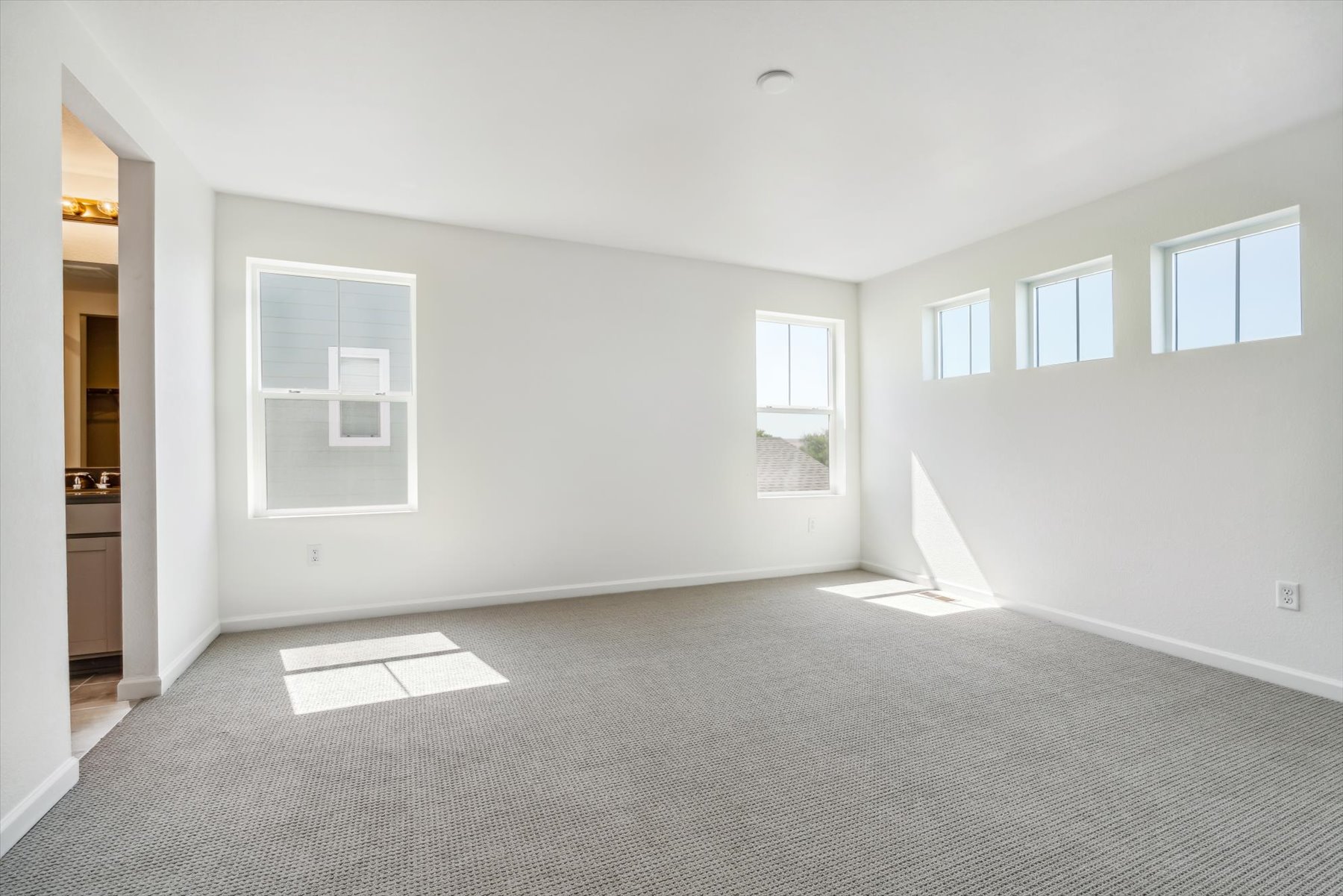 A room with a carpet and windows.