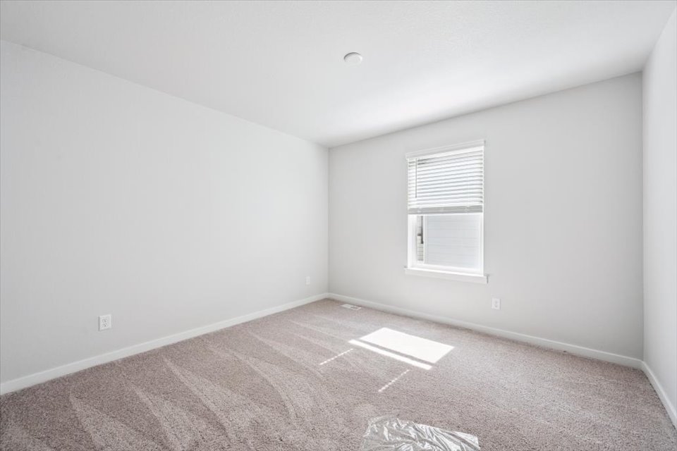 A room with a carpet and a window.