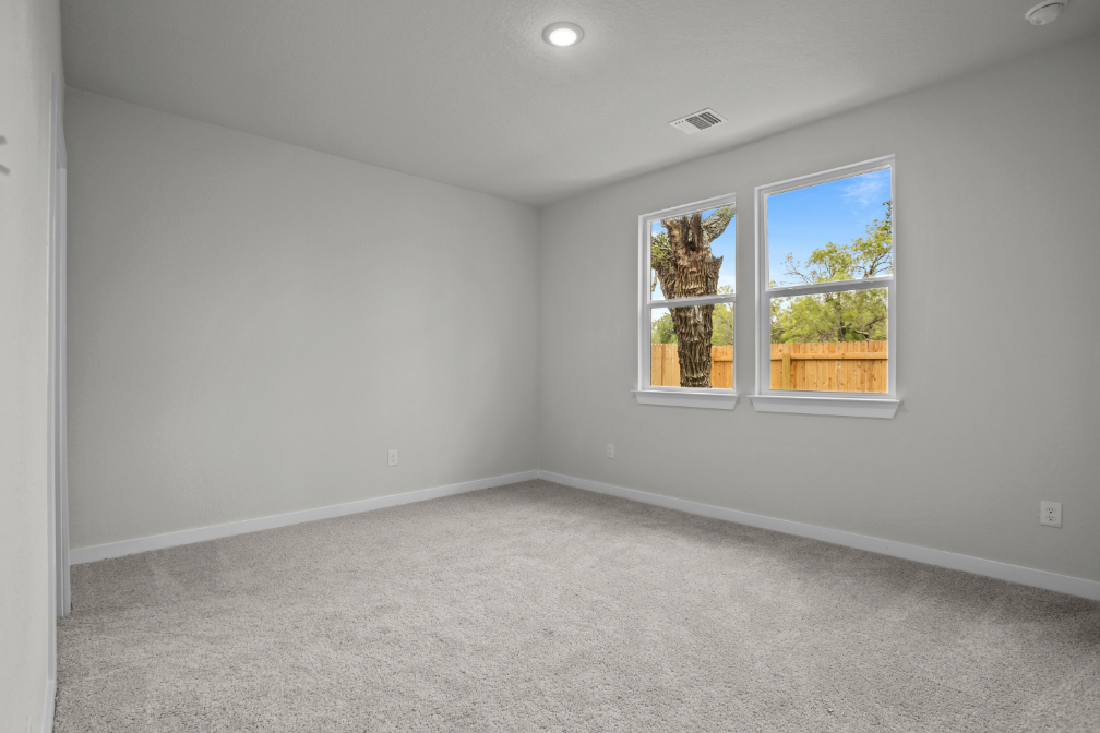 A room with a window and a white wall with a tree outside.