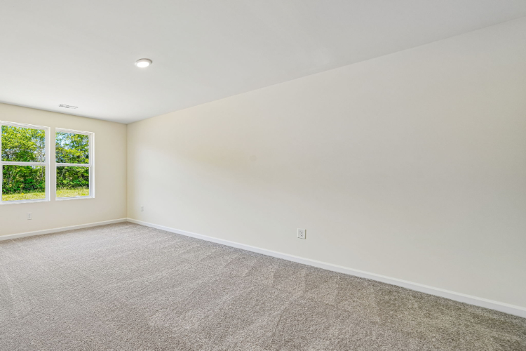 A room with a carpet and windows.