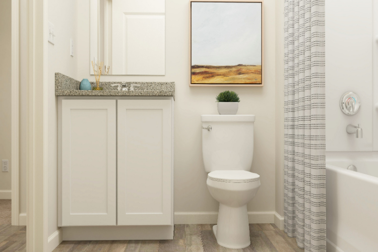 A bathroom with a toilet and a bathtub.
